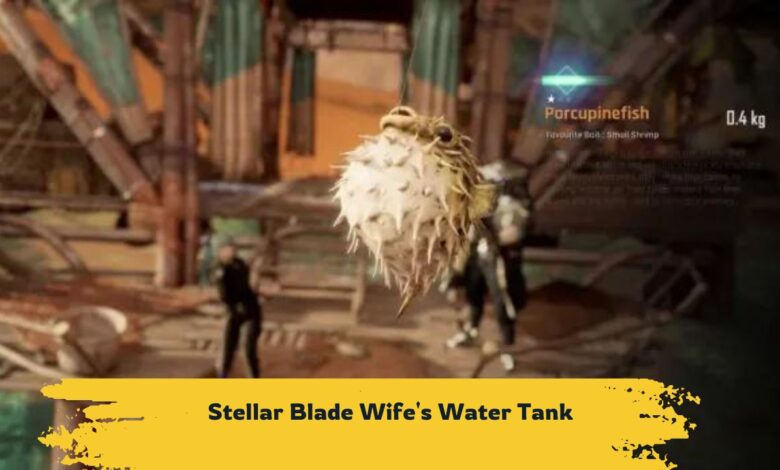 Stellar Blade Wife's Water Tank