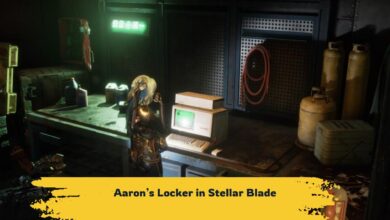 Aaron’s Locker in Stellar Blade