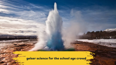 Geyser Science for the School-Age Crowd