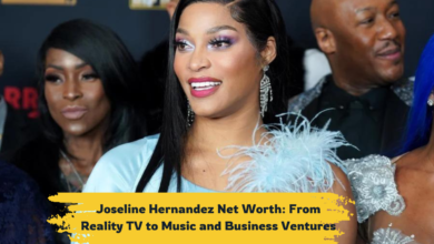 Joseline Hernandez Net Worth: From Reality TV to Music and Business Ventures