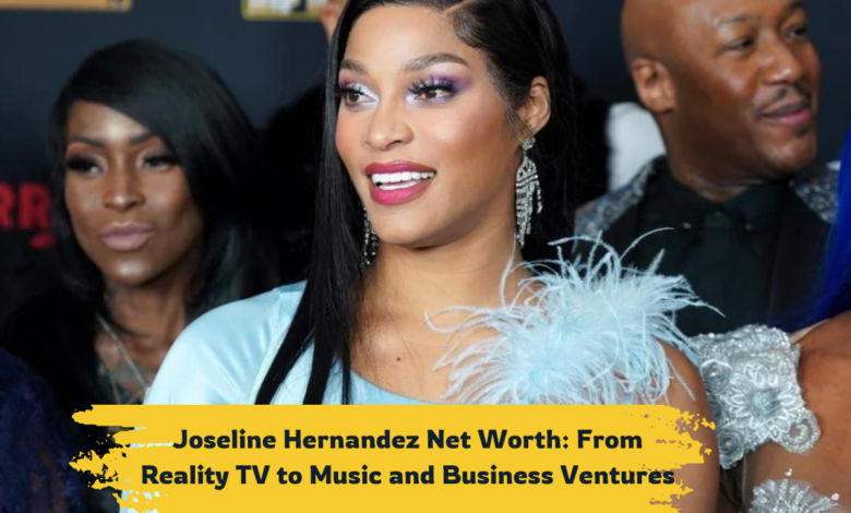 Joseline Hernandez Net Worth: From Reality TV to Music and Business Ventures