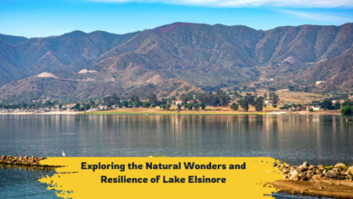 Exploring the Natural Wonders and Resilience of Lake Elsinore