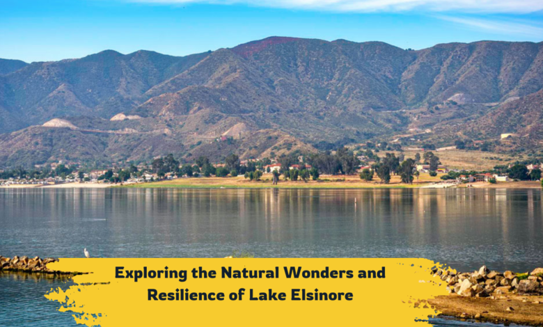 Exploring the Natural Wonders and Resilience of Lake Elsinore